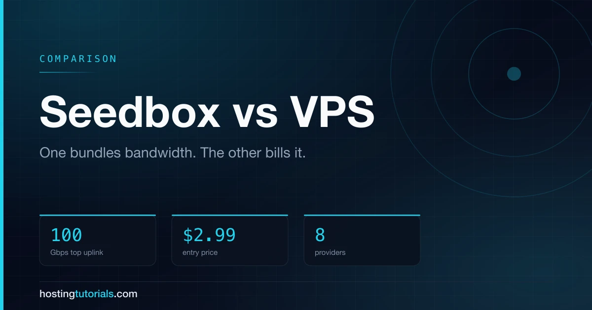 Seedbox vs VPS: Which One Actually Moves Data Faster?