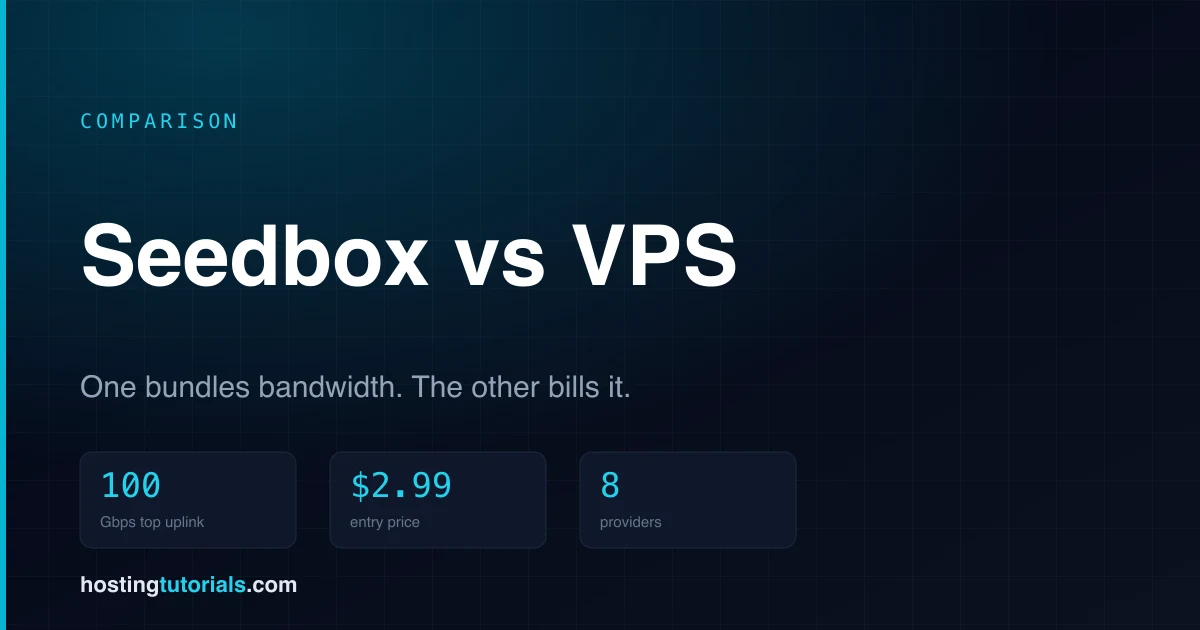 Seedbox vs VPS: Which One Actually Moves Data Faster?